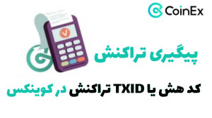 آموزش , کد , هش , TXID , تراکنش , کوینکس , دیدن , خصوص , محیط , کانال , رو