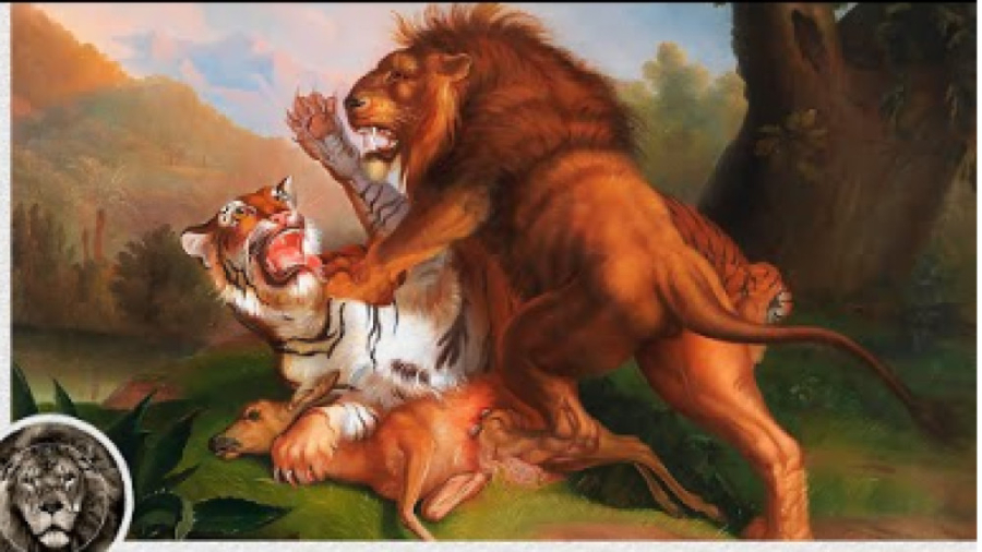 شیر در برابر ببر  13 جنگ دیوان...