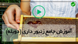پرورش زنبورعسل (زنبورداری)-ملکه ی جدید کندو