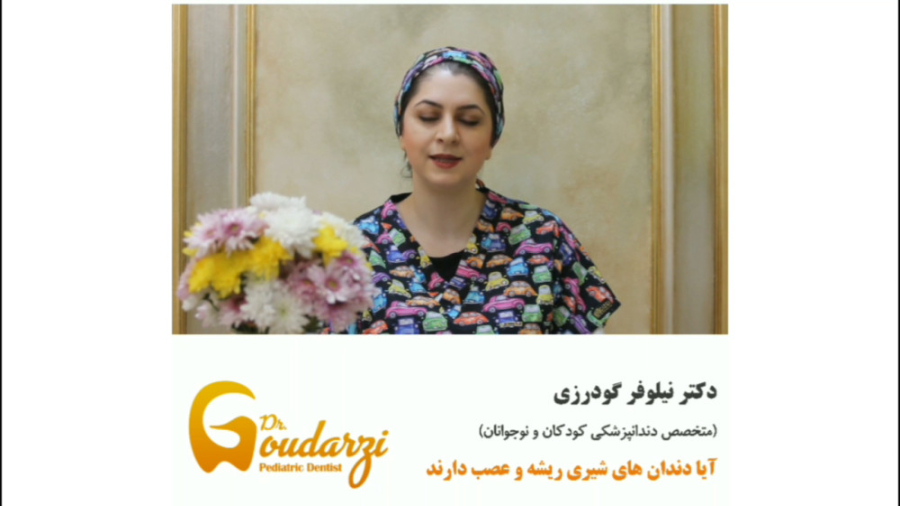 آیا دندان شیری کودکان ریشه و عصب دارد؟ متخصص دندانپزشکی کودک دکتر گودرزی دکتر نیلوفر گودرزی