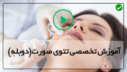 آموزش کشیدن خط ابرو-آموزش تاتو ابرو-نسبیت طلایی برای شکل متقارن2