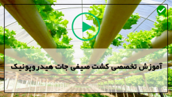 آموزش کشت علوفه هیدروپونیک-فیلم علوفه هیدروپونیک-اشتباهات رایج