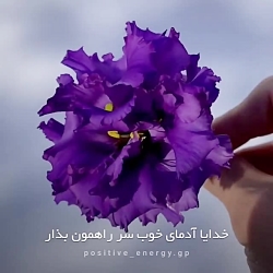 کلیپ نوشته دارجدید|کلیپ زیبابرای استوری|بهترین کلیپ خدا|کلیپ برای رفیق|کلیپ خدا
