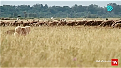 داستان&zwnj;های طبیعت ؛ 2015 ؛...