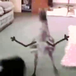 وقتی گوشی دست داداشت میافت