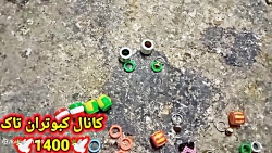 انداختن زنگوله ویراق به پای کب...