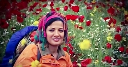 گفته بودی که چرا محو تماشای منی | همایون شجریان | آهنگ زیبا |موسیقی زیبا
