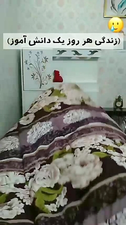 وضعیت دتمش اموزان