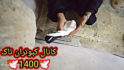 نکاتی در مورد غلط های کبوتر دم...