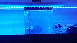 هیچی نمیگم خودتون ببینید؟!