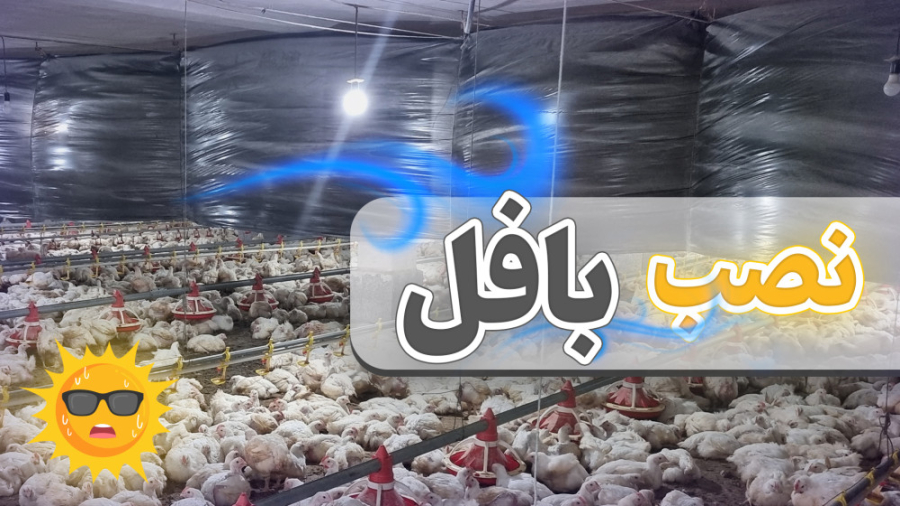 نصب بافل یا پرده برای سالن مرغداری در مناطق مرطوب دکتر محمد مهدی عبدالهی (دامپزشک)