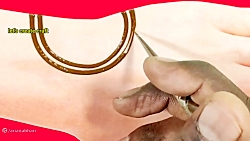 مدل ساده و بی نظیر حنا زدن دست...