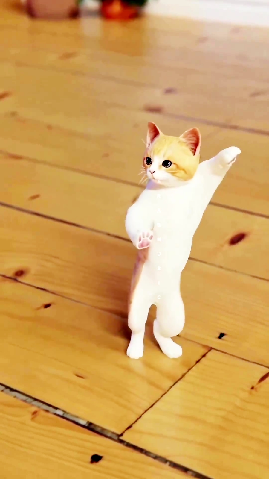Гифка танцующий кот