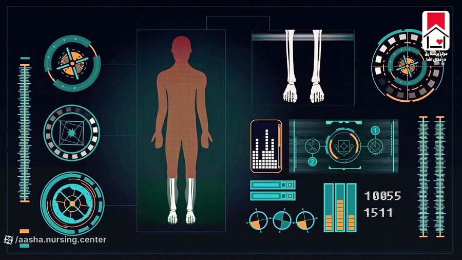 پروتئین در بدن چیست؟