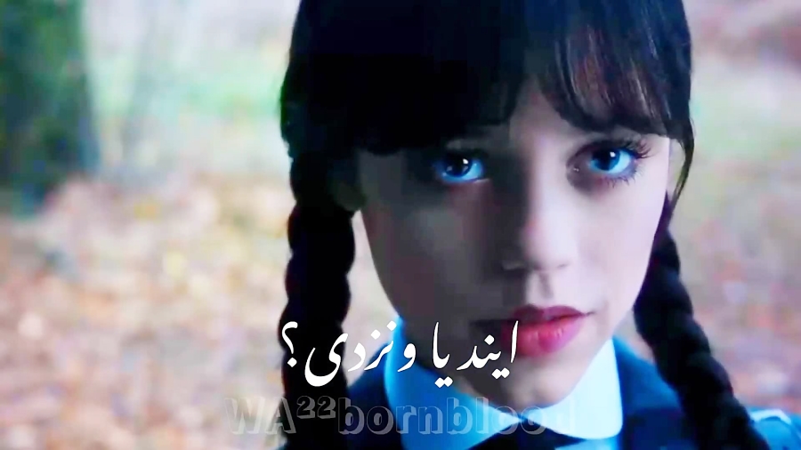 آیند یا ونزدی /ایند سینکلر/ونزدی ادامز