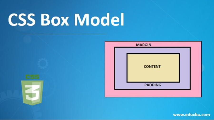 Box model. Боксовая модель CSS. CSS Box model. Primary Box CSS.