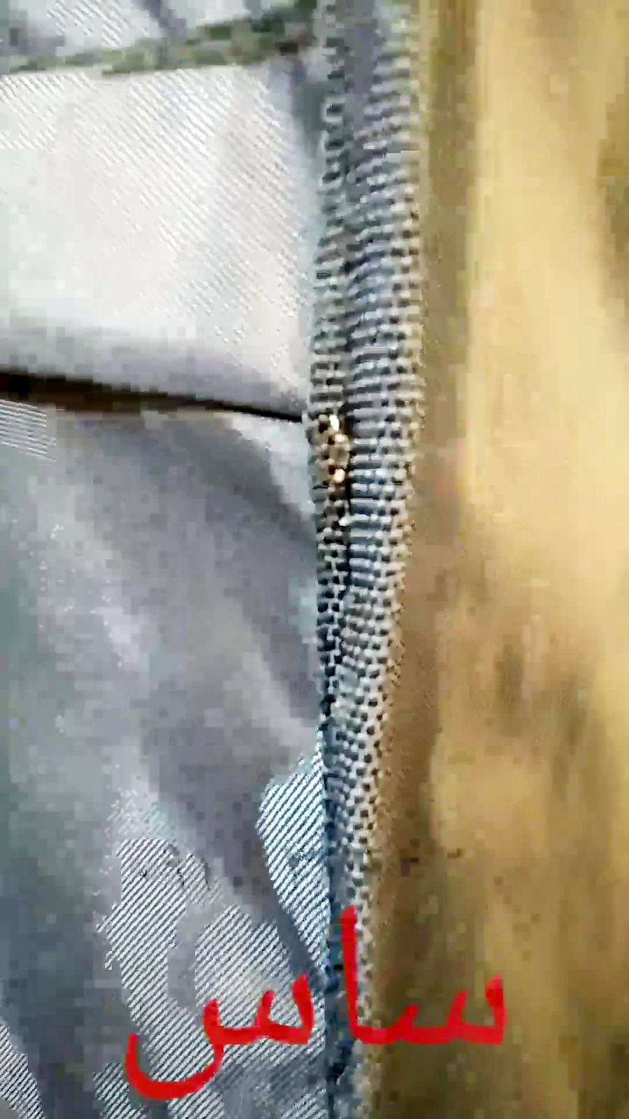 ساس