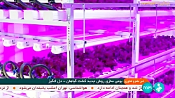 بومی سازی روش جدید کشت بومی سازی روش جدید کشت