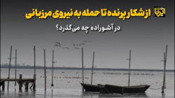 از شکار پرنده تا حمله به نیروی مرزبانی از شکار پرنده تا حمله به نیروی مرزبانی