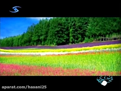 تمام میشوم شبی  خواننده: امیر...