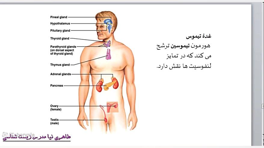 زیست یازدهم فصل4 (انتهای گفتار) طاهری نیا جرمگیری