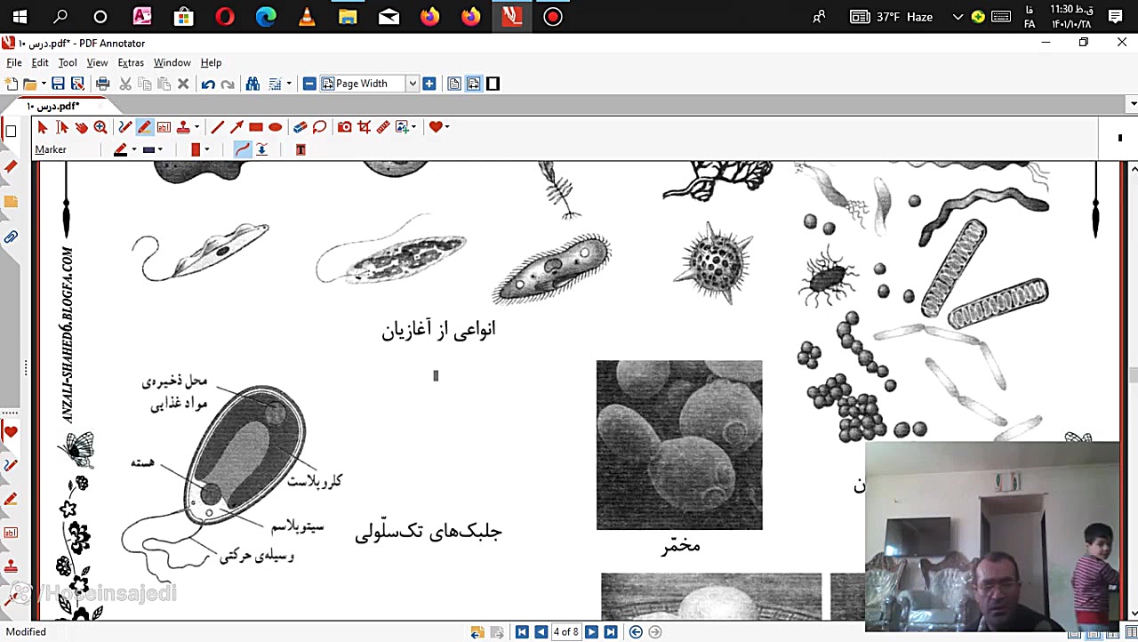 علوم ششم درس 11 جوانسازی پوست
