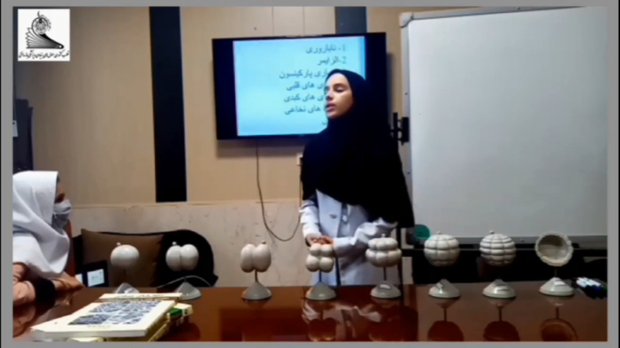 کاربرد سلول های بنیادی در درمان سرطان ها (آموزش کودکان) اولتراسوند پرتابل جیبی