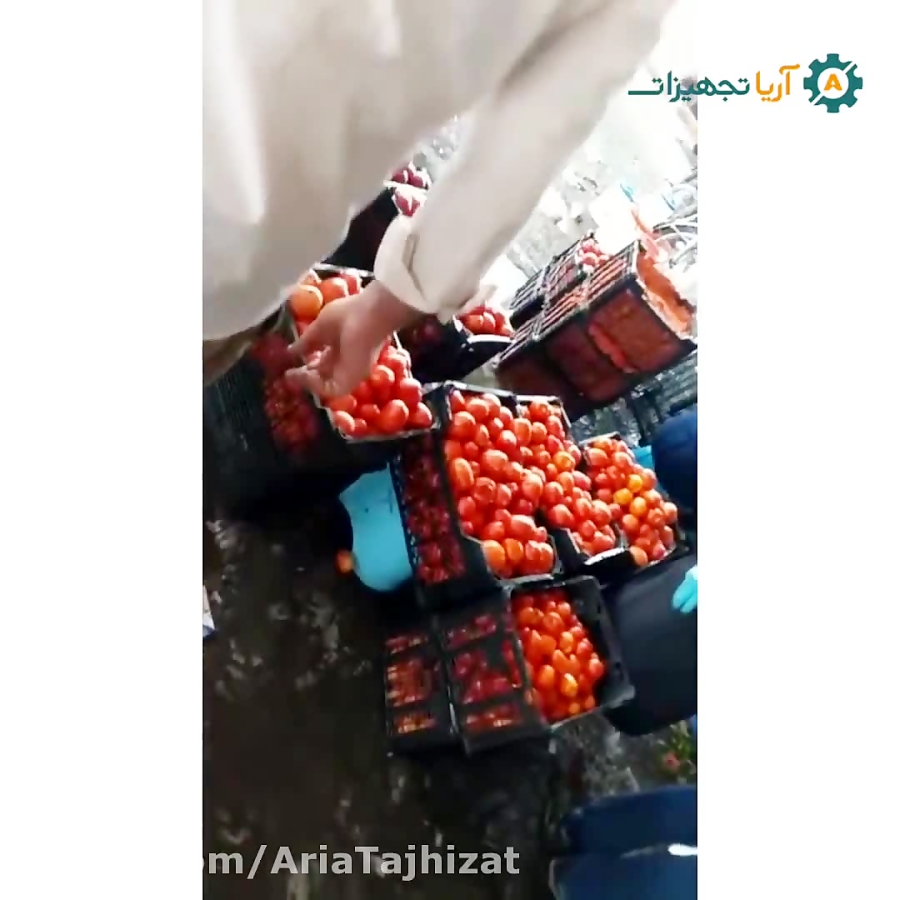 آب گوجه گیری-ابگیری گوجه-رب گیری استیل 09190946278