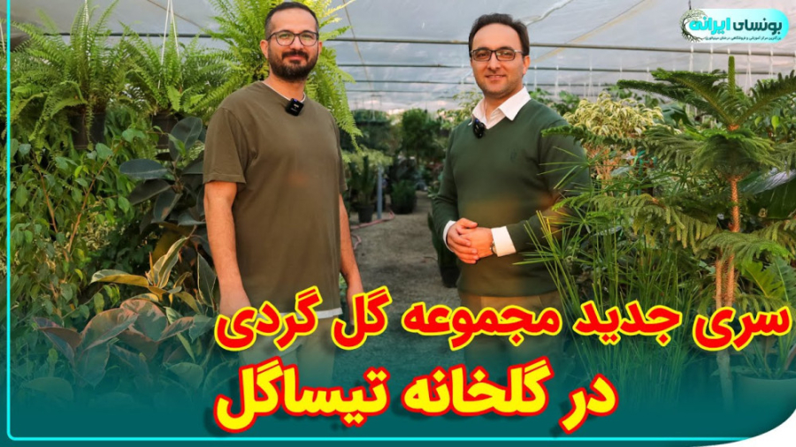 معرفی ارزانترین گلخانه اطراف تهران | تیساگل در مجموعه گل گردی زمان645ثانیه
