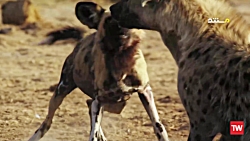 پادشاهی وحشت ؛ 2017 ؛ فصل 2 ؛...