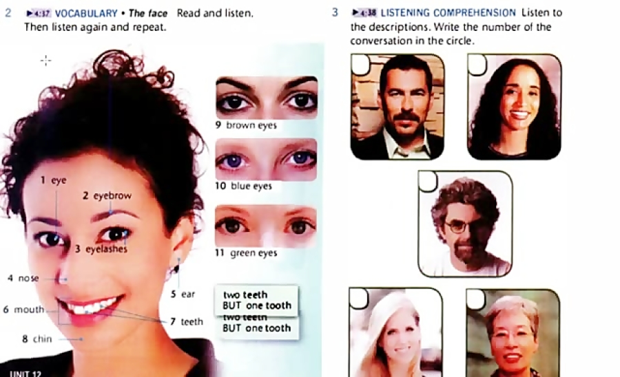 Lesson01,Vocabulary,Listening Top Notch Fundamentals