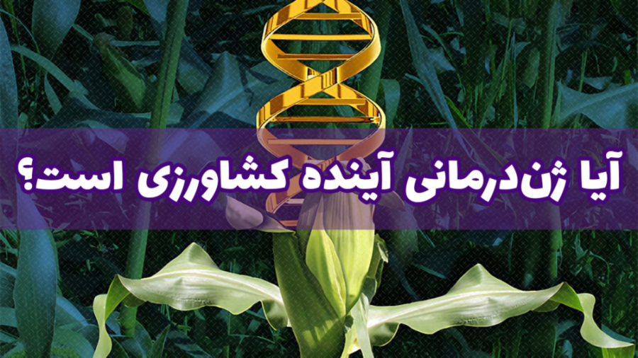 ژن‌درمانی و آینده کشاورزی اصلاح فرم صورت