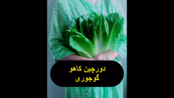 دورچین سوپرخوشمزه و جذاب با کاهو دورچین سوپرخوشمزه و جذاب با کاهو