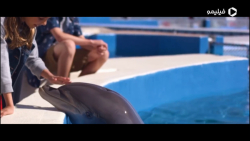 تریلر فیلم برنی دلفینه Bernie...