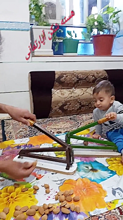 هسته شکن آپارتمانی دژکرد قیمت ۲۵۹۰۰۰تومان تماس۰۹۱۷۵۰۱۰۱۲۶ هسته شکن آپارتمانی دژکرد قیمت ۲۵۹۰۰۰تومان تماس۰۹۱۷۵۰۱۰۱۲۶