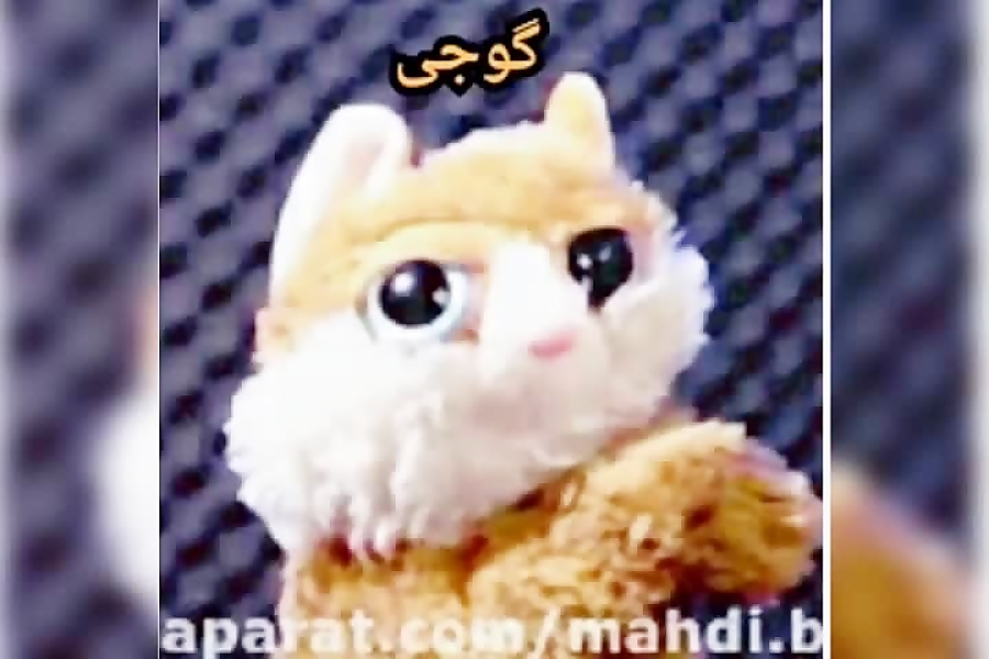 تقدیم به گوجی گنگ