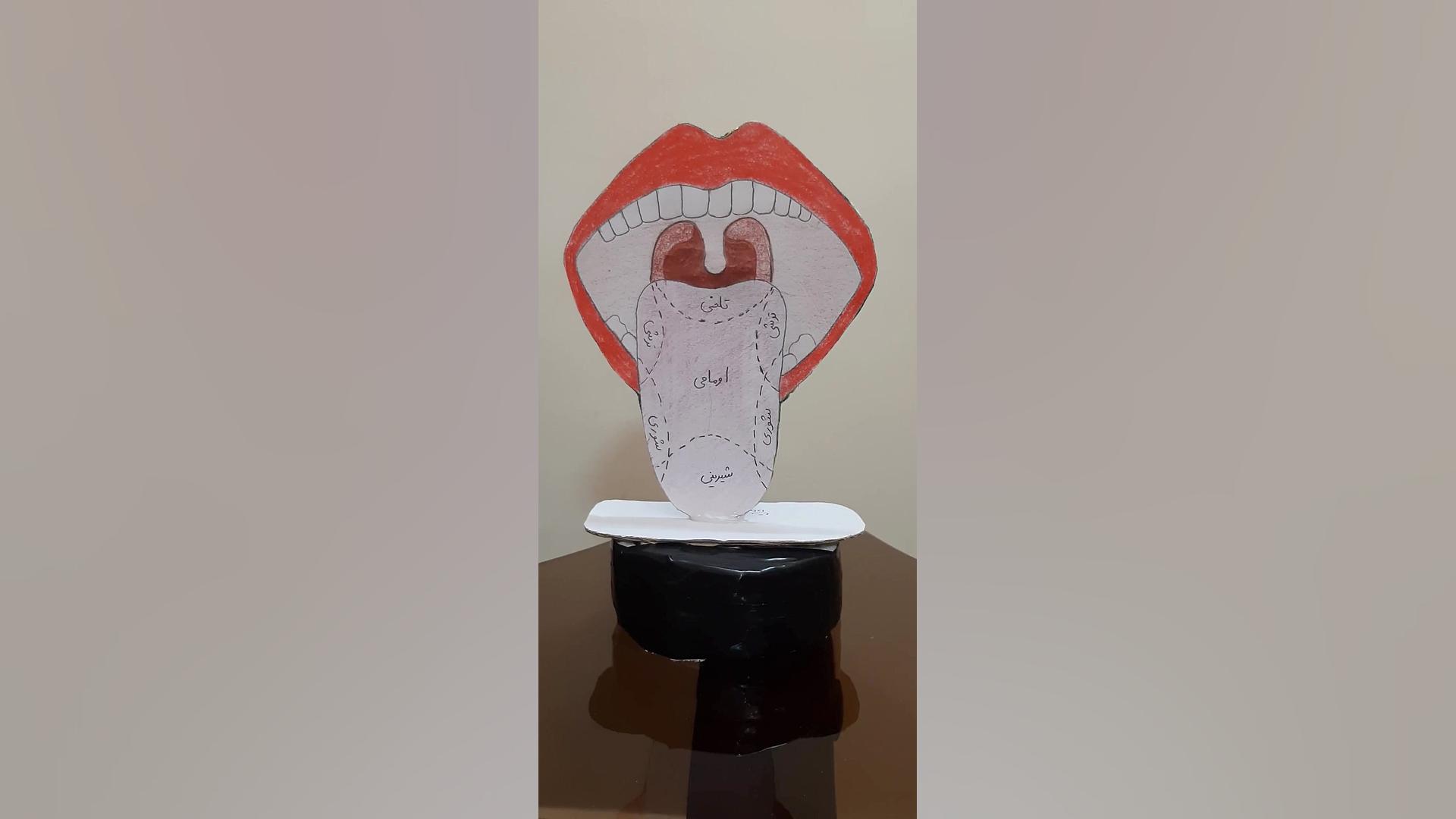 دست ورزی ماکت چشایی کیم کارداشیان