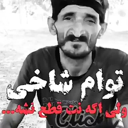 حرف حق لایک و دنبال فراموش نشه