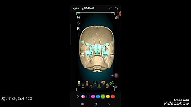آناتومی دستگاه تنفسی قسمت اول با جزئیات کامل آر اف فرکشنال