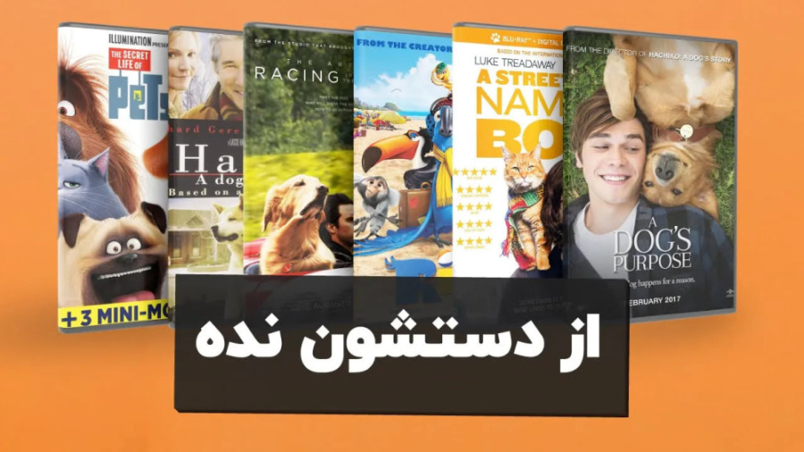 معرفی هفت فیلم سینمایی  جذاب با هنرنمایی حیوانات خانگی زمان412ثانیه