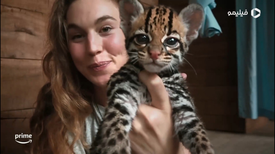 تریلر فیلم گربه وحشی Wildcat زمان156ثانیه