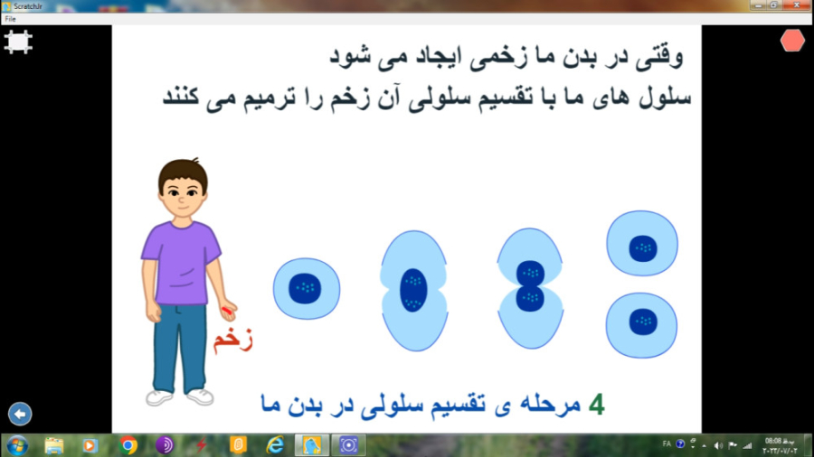 پروژه ی توضیح تقسیم سلولی/ بزرگمهر لیراوی/ چهارم دبستان سلنا گومز