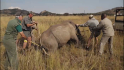 مستند نجات حیات وحش بخش ۲ (۲۰۲...