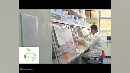ایمونوتراپی سرطان حلزون توربو