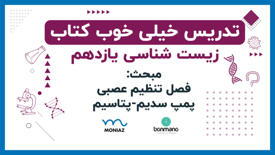 پمپ سدیم - پتاسیم سیستم نانواینژکتور