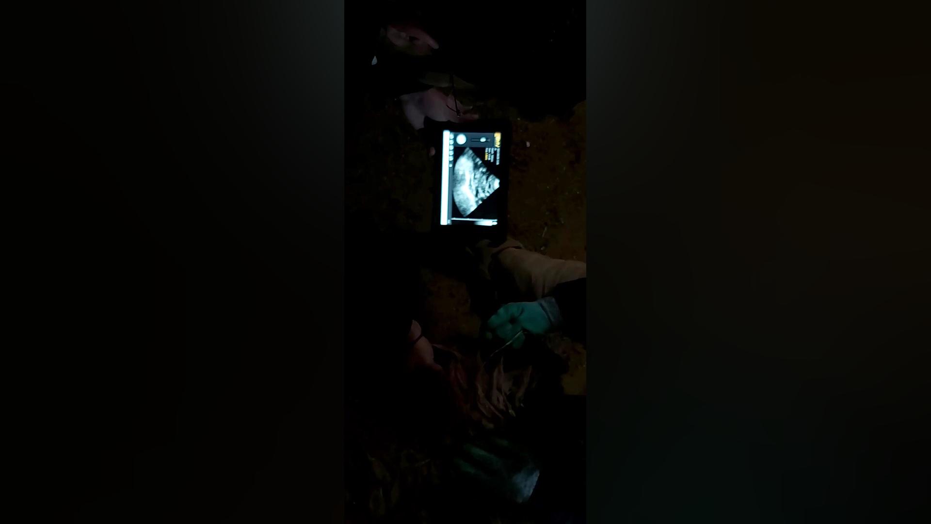 دستگاه سونوگرافی S3Plus وایفا جرمگیری