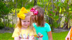 مکس و کیتی  مکس و کیتی و ناستی...