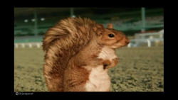 دانلود بهترین قسمت باب اسفنجی...