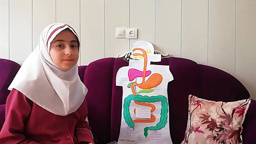 دستگاه گوارش پالپوتومی