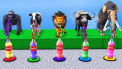 کارتون حیوانات  نوشیدنی مناسب...